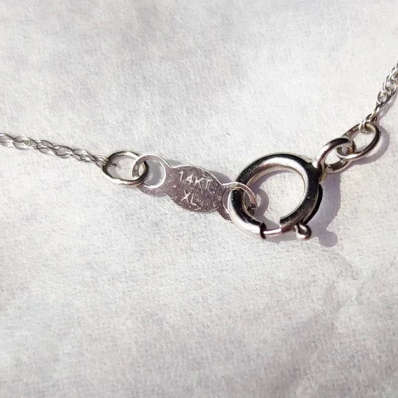 Taj Jewelers 10k white gold & diamonds pendant on 14k white gold singapore chain - Picture 11 of 12